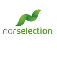 nor selection rekruttering as