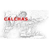 calchas holding logo image