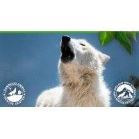 lockwood animal rescue center larc logo image