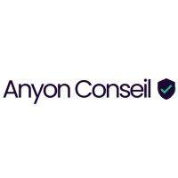 anyon conseil logo image