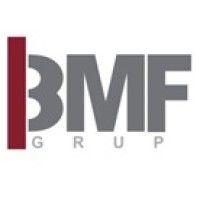 bmf grup logo image