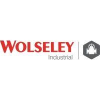 wolseley industrial canada logo image