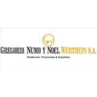 gregorio, numo y noel werthein s.a. logo image