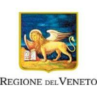 regione veneto logo image