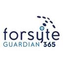 logo of Forsyte I T Solutions