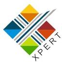 logo of Expert Software Systems