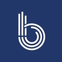 criterion.b logo image