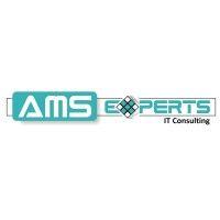 ams experts it consulting logo image