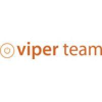 viper team - it consulting logo image