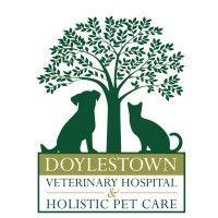 doylestown veterinary hospital & holistic pet care