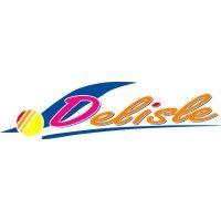 groupe delisle logo image