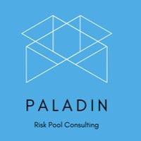 paladin consulting llc logo image