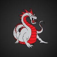 dragon products ltd logo image