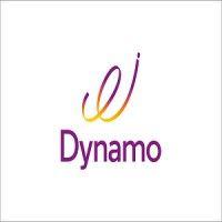 dynamo info technologies pvt ltd logo image