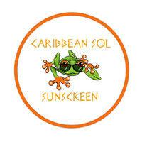 caribbean sol international llc logo image