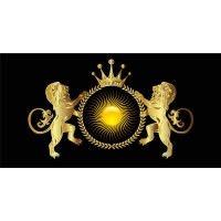 sunshine international investments llc logo image