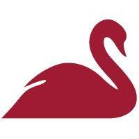 red swan risk logo image