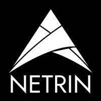 netrin sports technologies logo image