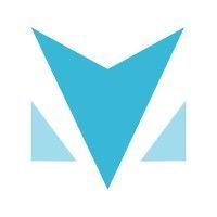 minerva analytics logo image