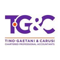 tino-gaetani & carusi, chartered professional accountants logo image