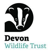 devon wildlife trust logo image