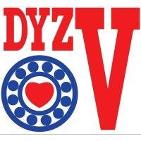 dyzv bearings india solutions logo image