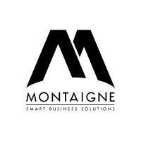 montaigne smart business solutions