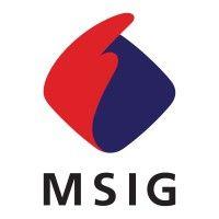 msig vietnam logo image