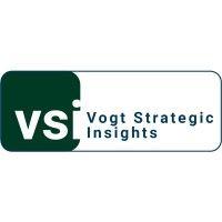 vogt strategic insights (vsi) logo image