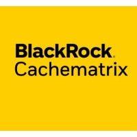 blackrock® cachematrix™ logo image