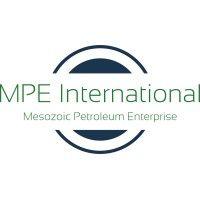 mpe international, l.l.c. logo image