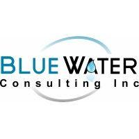 blue water consulting inc logo image