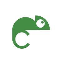 camaleon tours logo image