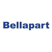 bellapart group logo image