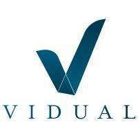 vidual logo image