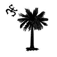 palmetto llc logo image