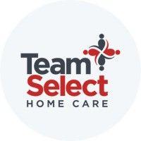 team select logo image