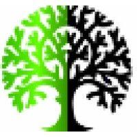 bent tree financial consulting logo image