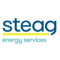 steag energy services gmbh logo image