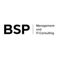 bsp management- und it-consulting gmbh logo image