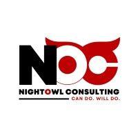 nightowl consulting logo image