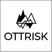 ott risk logo image