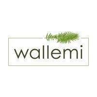 wallemi logo image