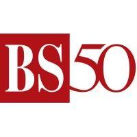 business standard logo image