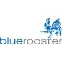 blue rooster inc.