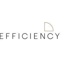 efficiency management consulting logo image