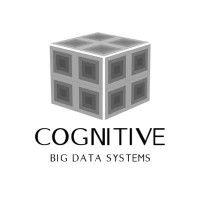 cognitive big data systems inc