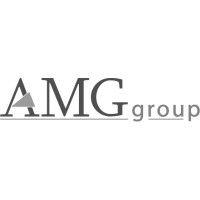 amg group ltd logo image