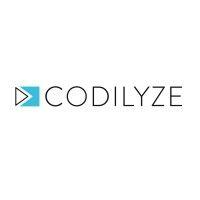 codilyze logo image