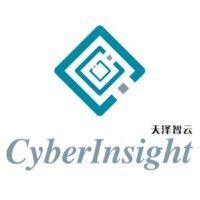 cyberinsight technology co., ltd.